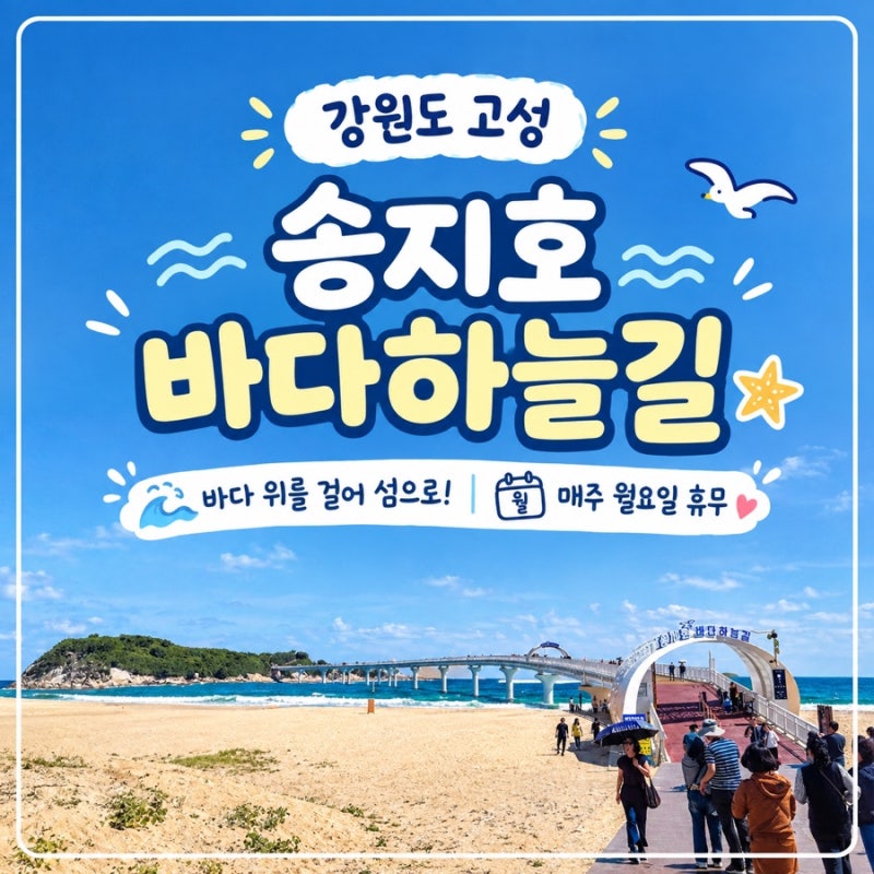 가을 국내 여행으로 추천하는 강원도 고성 송지호바다하늘길 산책코스 후기