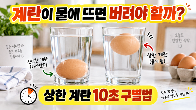 계란이 물에 뜨면 버려야 할까? 상한 계란 10초 구별법