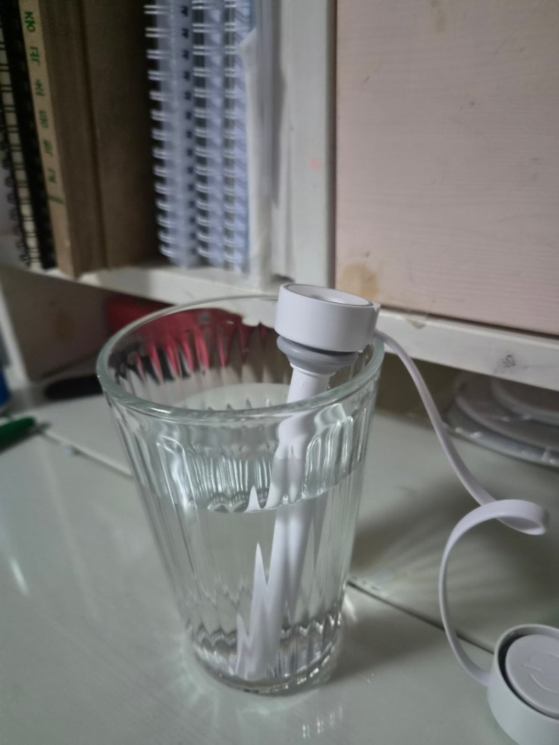 가습기 미니가습기 추천 어디서나 간편한 휴대용가습기 릴리스틱 사용후기