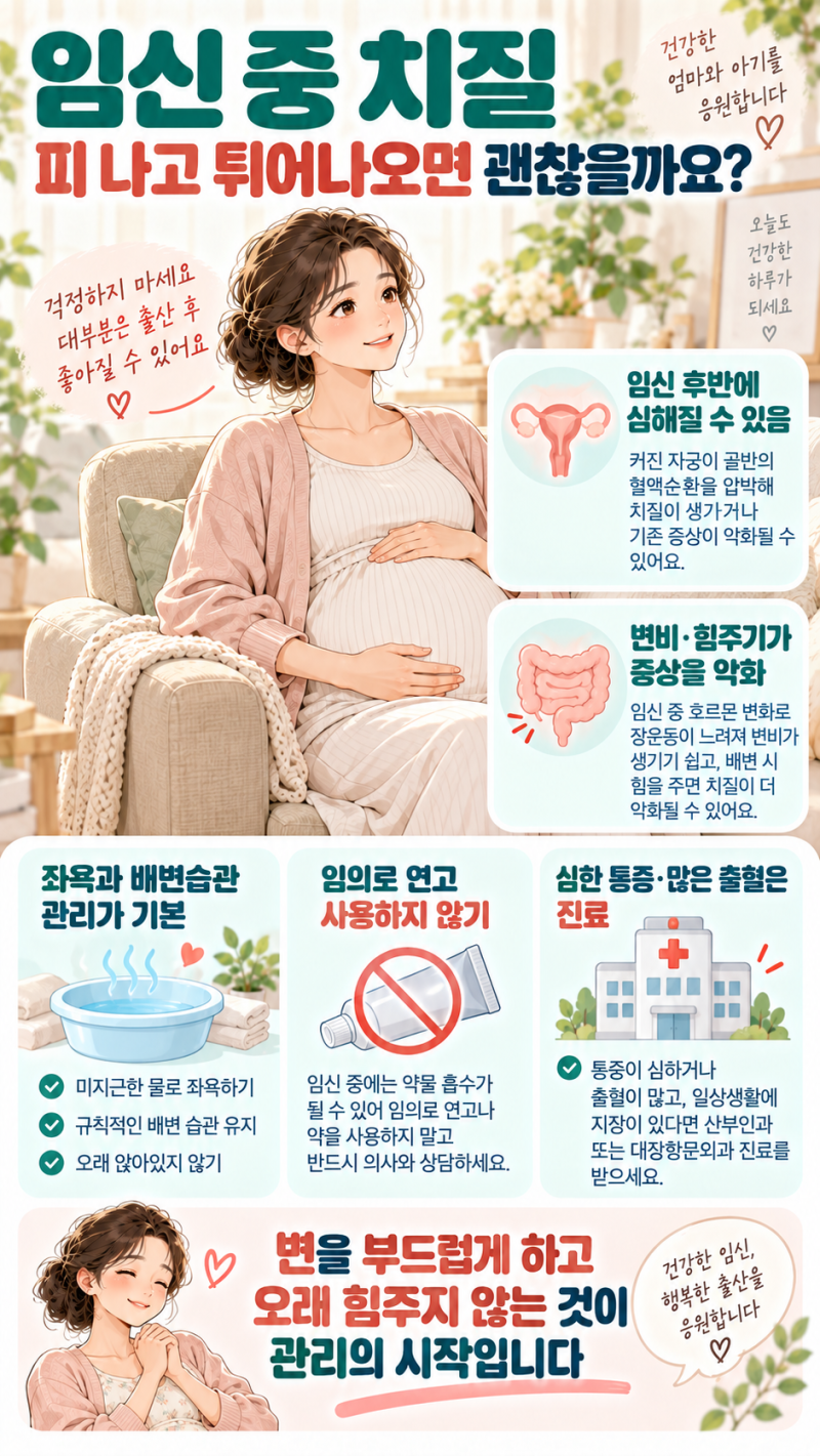 임신 중 치질, 피 나고 튀어나오면 괜찮을까요? 치핵 관리·좌욕·병원 기준
