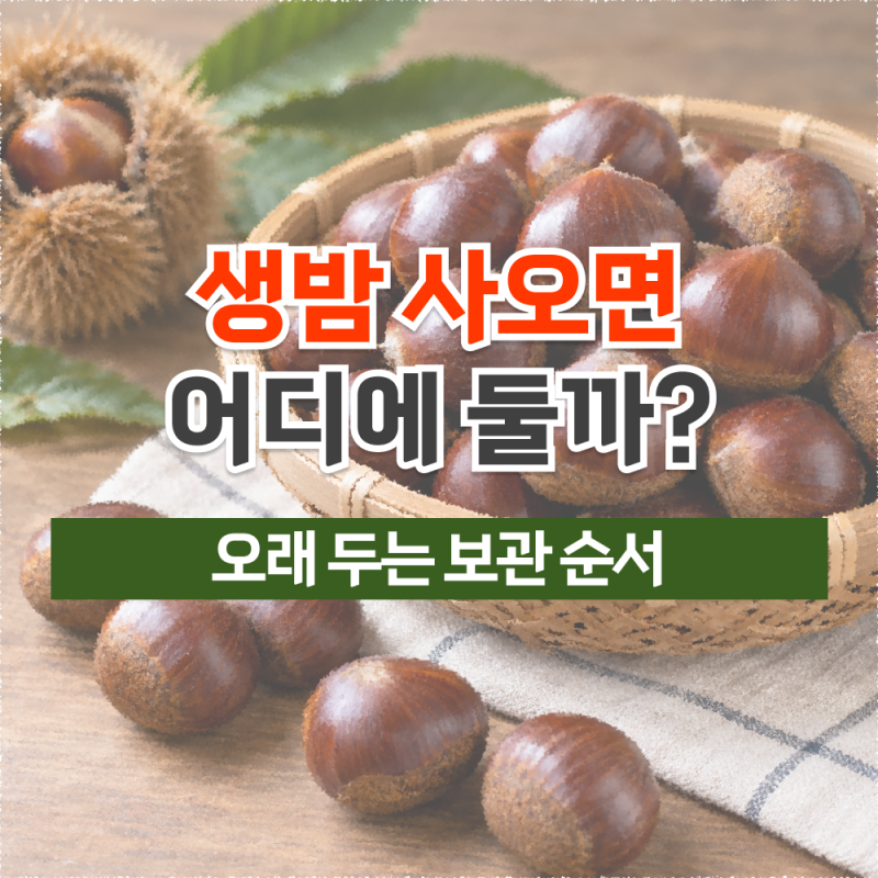 생밤 보관법, 사오자마자 이렇게 해야 벌레와 곰팡이 줄일 수 있어요