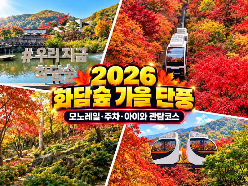 2026 화담숲 가을 단풍 예약 성공 후기｜모노레일·주차·아이와 관람코스