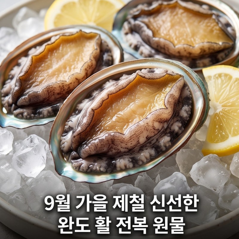 9월 제철 가을 활 전복 효능과 칼로리