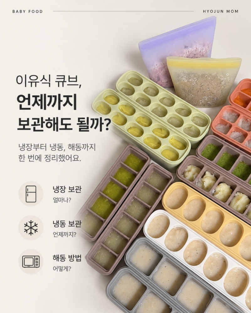 이유식 큐브 보관기간 총정리! 냉장 냉동 보관부터 해동 방법까지