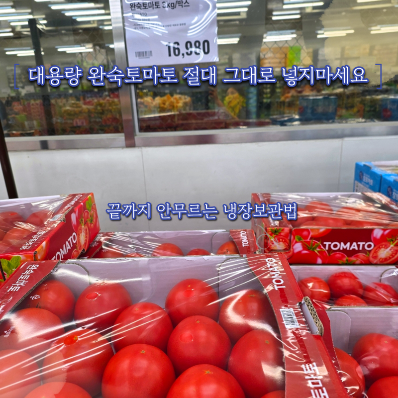 "꼭지 떼고 넣었을 뿐인데?" 한 달 내내 탱탱한 완숙토마토 냉장보관법의 결정적 반전