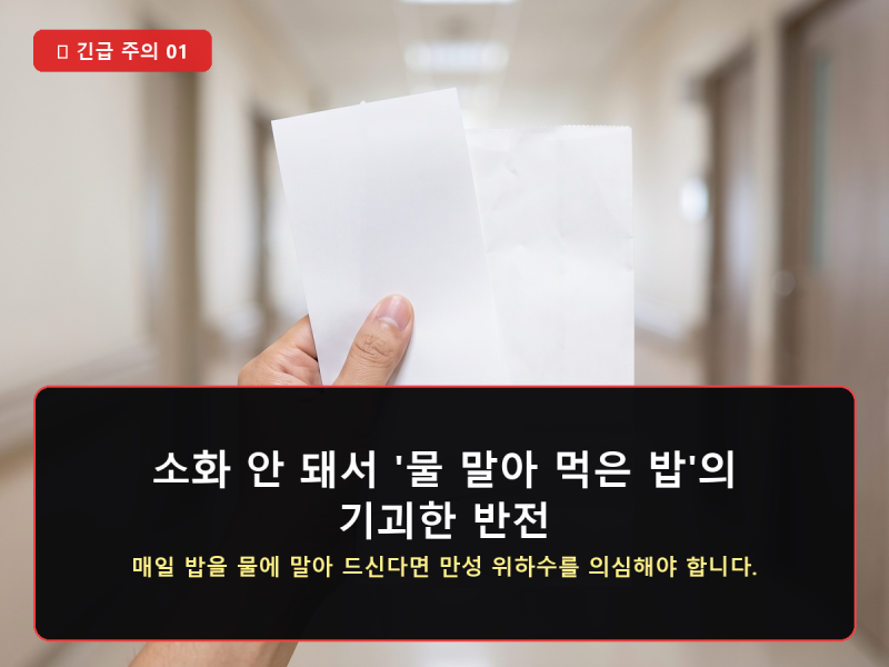 물 말은 밥이 만성 위하수(위 처짐)를 부르는 이유와 2주 만에 고친 식습관 교정 루틴
