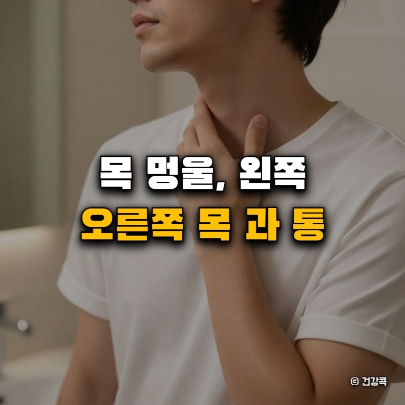 목 멍울, 왼쪽 오른쪽 목 과 통증 총정리 가이드