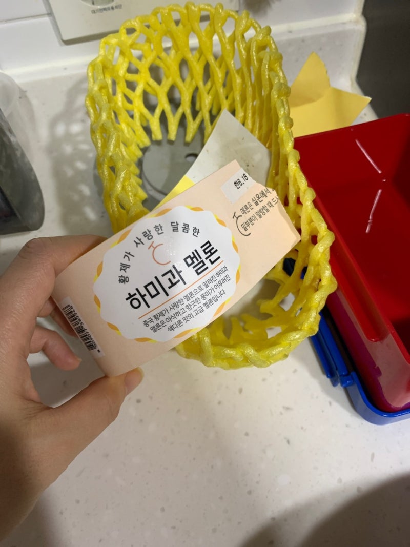 하미과 멜론 먹어본 후기 맛있는 멜론 추천 노란 멜론 추천