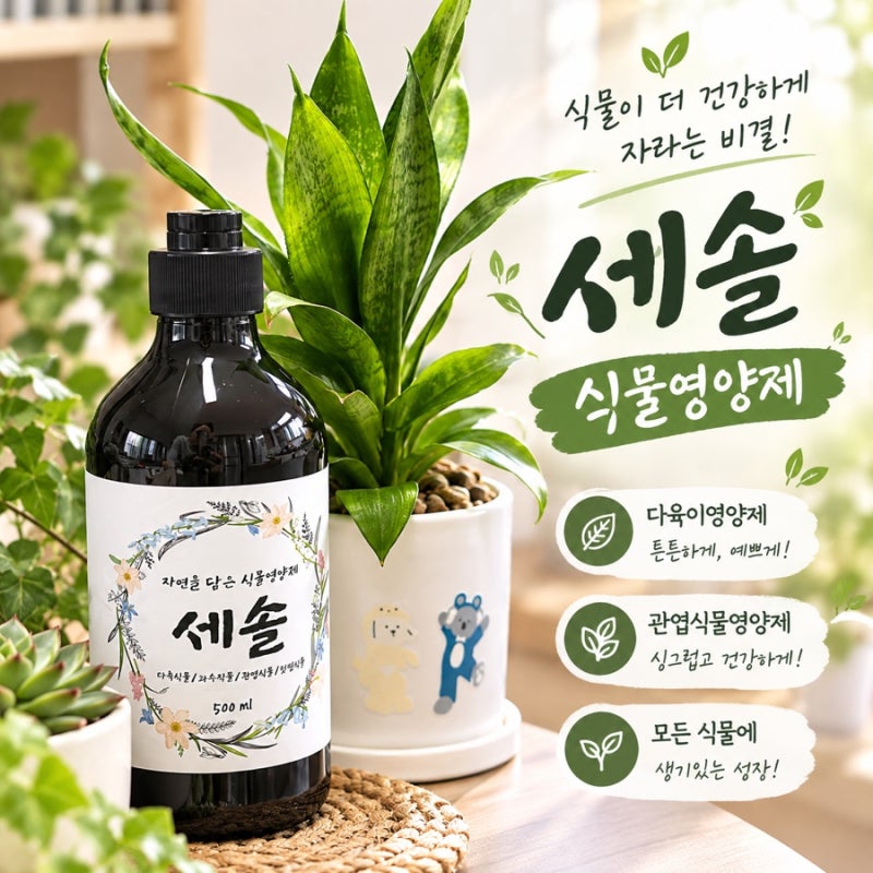 식물영양제 세솔, 우리 집 초록이들에게 영양을 더해봤어요