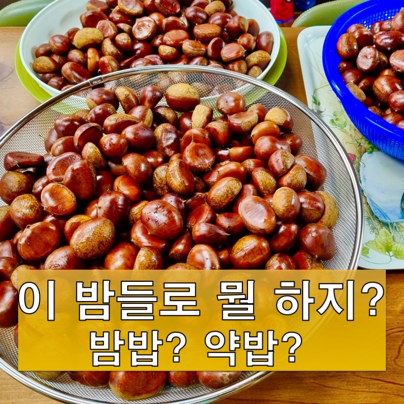 남은 밤이나 예쁘게 깐 밤으로 만든 가을 특별 요리(밤밥 & 밤약밥 레시피)