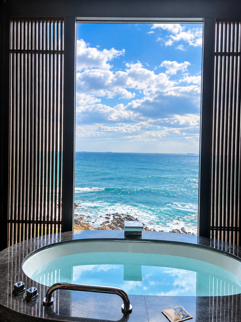 Ananti at Busan Cove Cabin B Ocean View: "This is why Ananti is so good" - Busan Accommodation Review