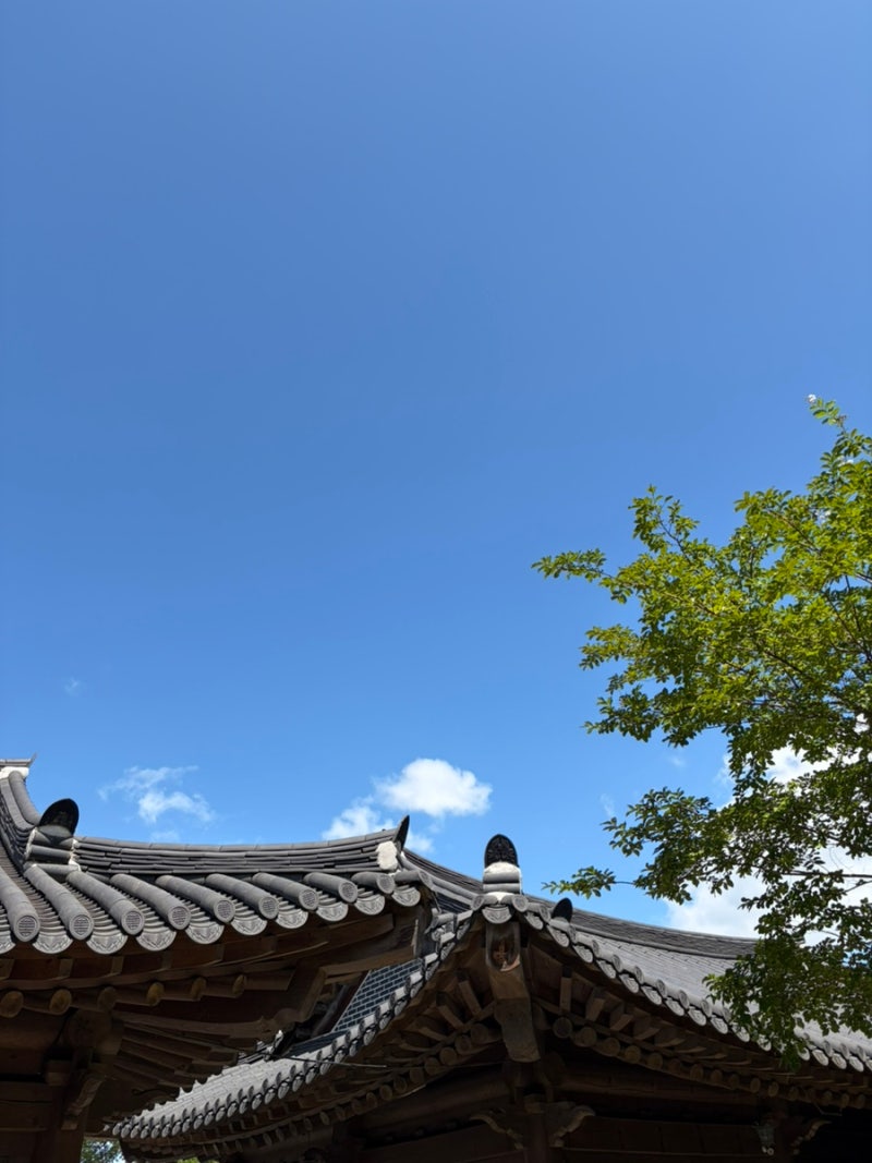 전주 한옥마을 주차장 정보 만차시 유료주차장 꿀팁 [교동주차장]