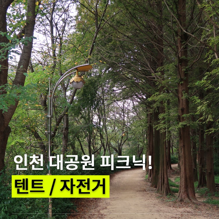 인천대공원 주차 자전거 대여료 입장료