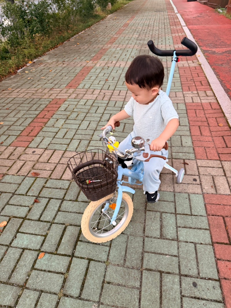 30개월 아동용 첫 유아자전거 삼천리자전거 딩고 14인치 후기
