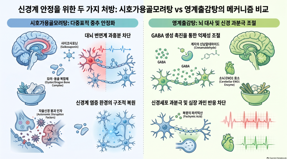 오브한의원 임상 칼럼