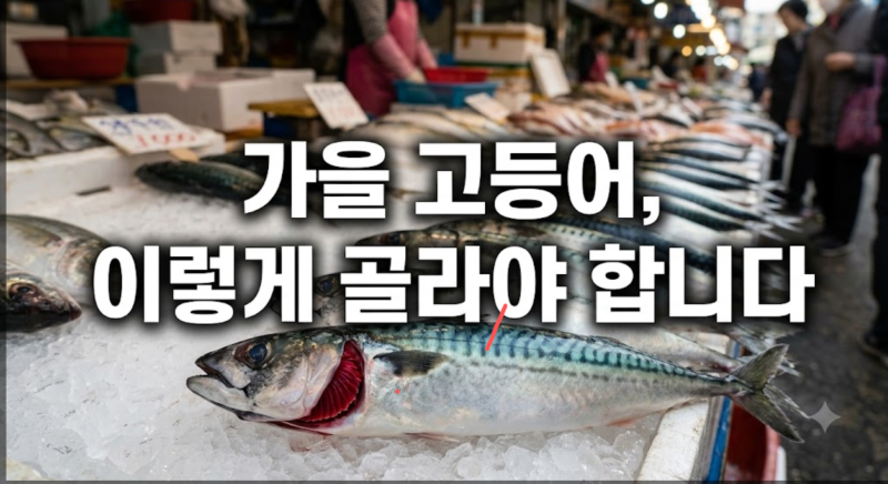 고등어 제철 시기와 잘 고르는 법, 비린내 없이 손질하고 냉동 보관 며칠까지 괜찮을까?