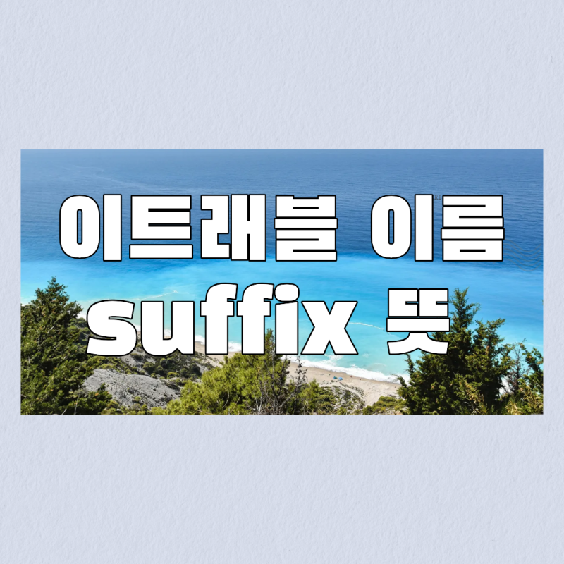 suffix optional 뜻 이트래블 영어 이름 작성 항목