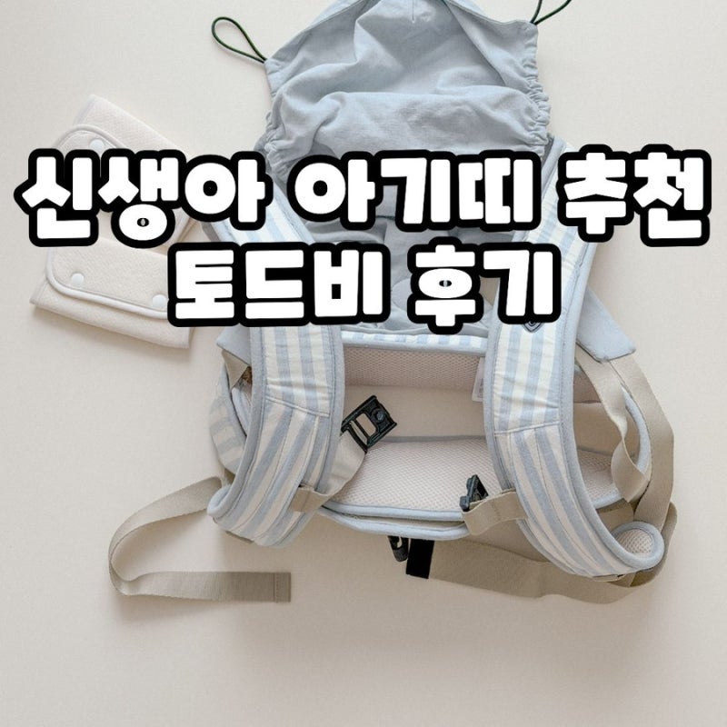 신생아 아기띠 추천 토드비 경량 아기띠 사용 후기
