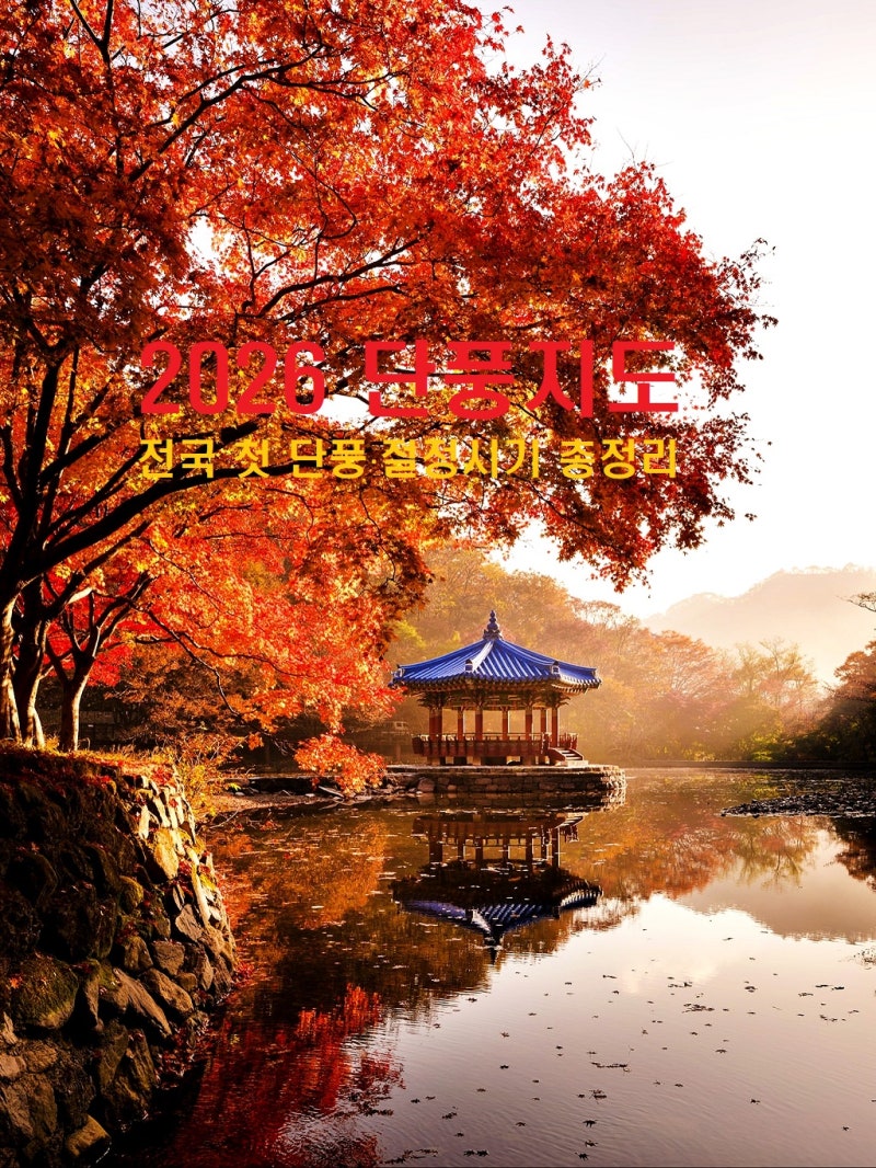 2026 단풍지도｜전국 첫 단풍·절정시기 총정리