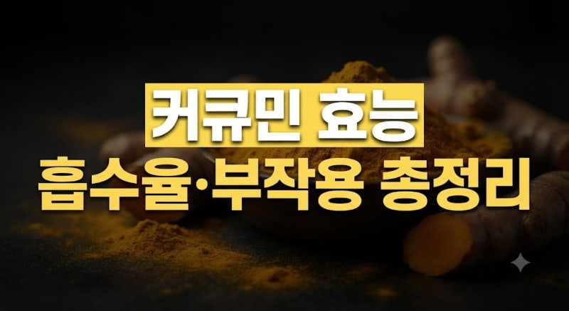 커큐민 효능과 부작용 총정리(+복용시간, 고흡수 원료 비교)