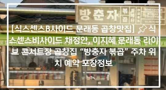 [식스센스비사이드 문래동 LP카페] 바이닐 인사이드 식스센스비사이드 채정안 이지혜 영등포....