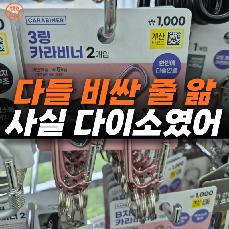 캠핑장에서 "이거 어디서 샀어?" 물어봅니다… 알고 보면 다이소 TOP3