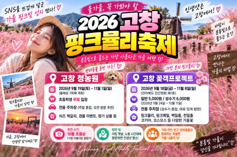 "SNS를 뜨겁게 달군 가을 핑크빛 성지 떴다!" 2026 고창 핑크뮬리 축제 완벽 가이드