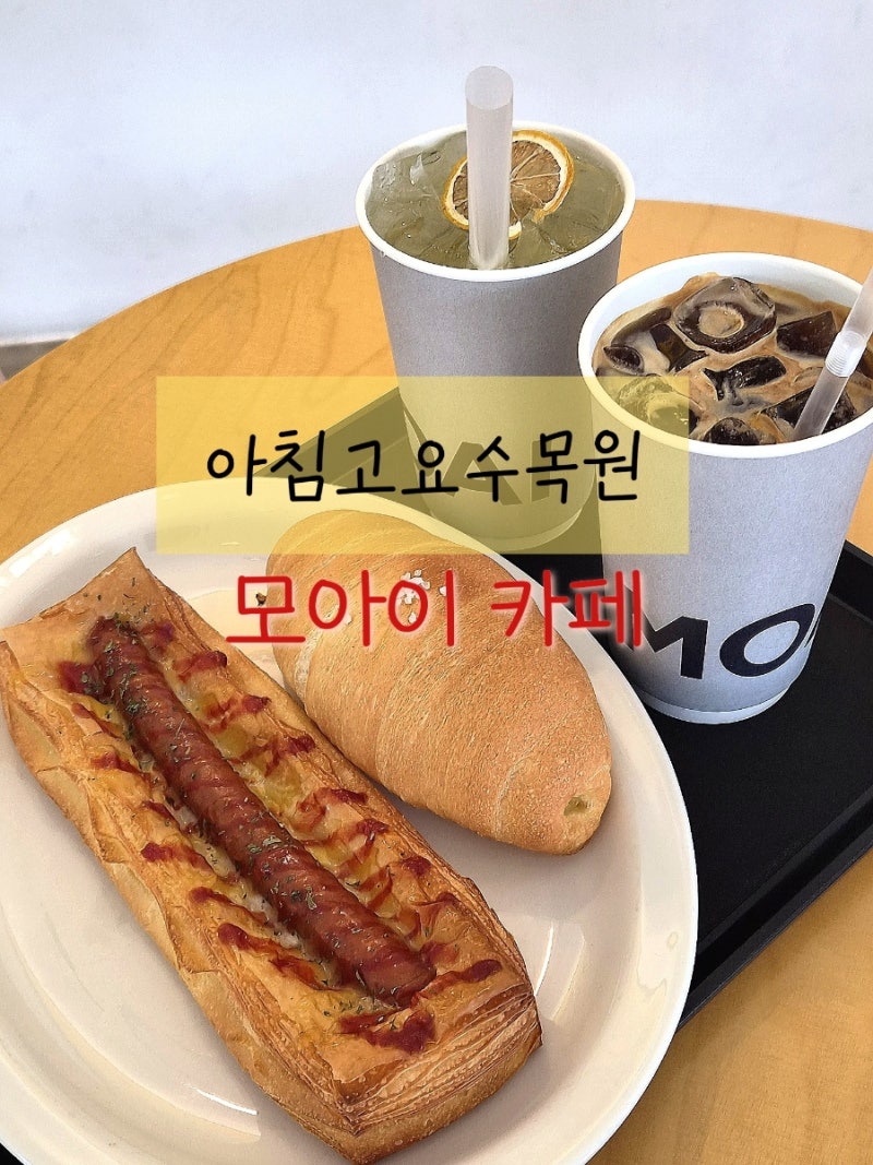 가평 아침고요수목원 근처 아이랑방문하기좋은 모아이카페