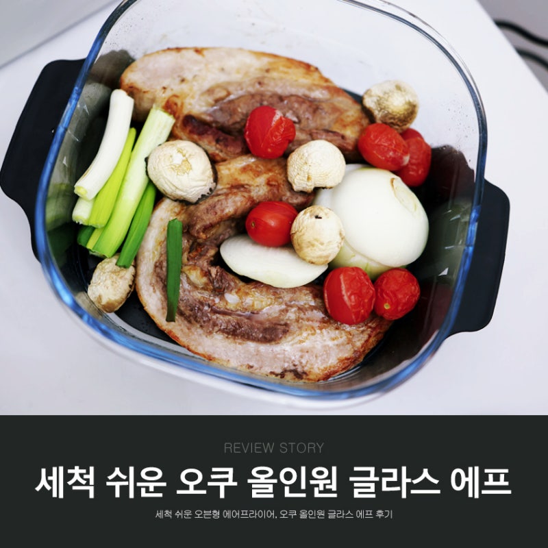 세척 쉬운 오븐형 에어프라이어, 오쿠 올인원 글라스 에프 후기