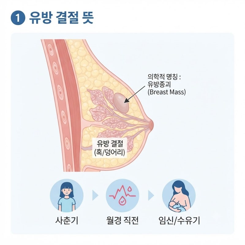 유방 결절 뜻, 대부분 양성이라는 게 정말일까?