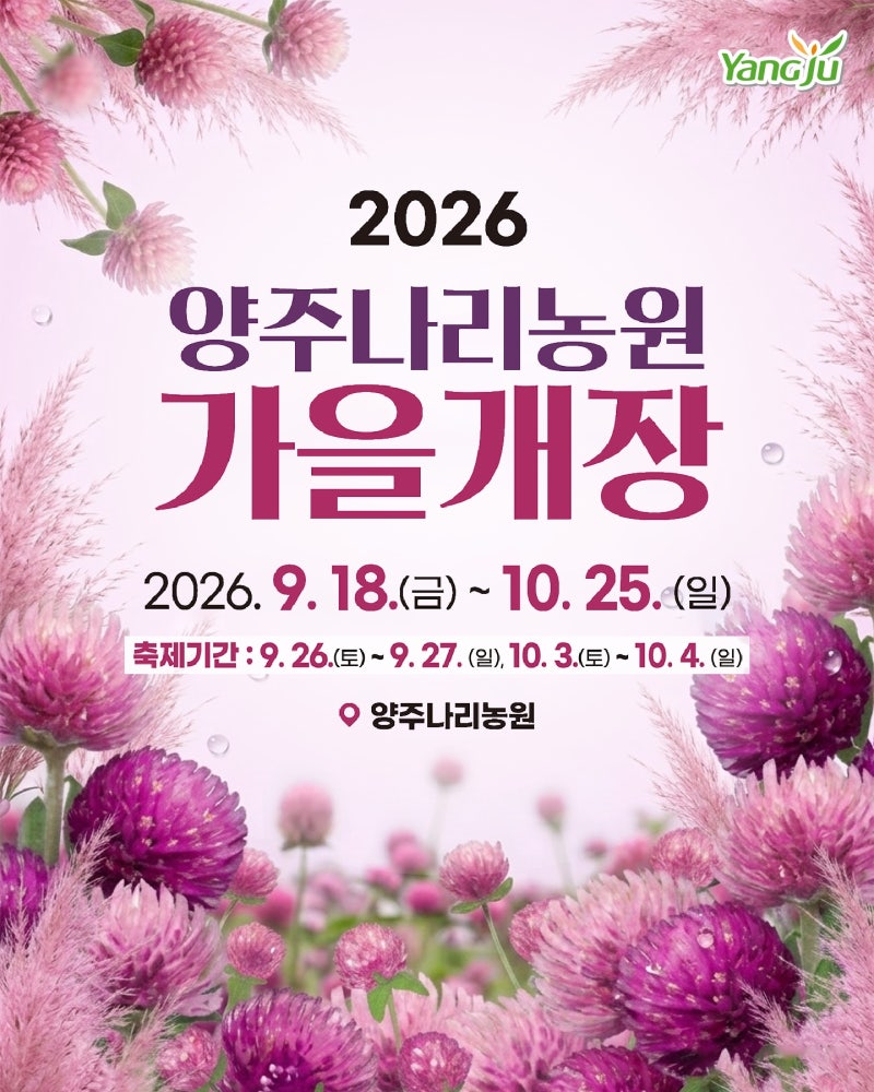 [경기도/축제]2026 양주 천일홍 가을페스타｜나리농원 입장료·주차장·공연 시간표