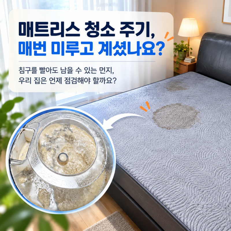 울산 매트리스청소주기 정하는법과 송정동에서 밤마다 가려움이 있던 침대 관리