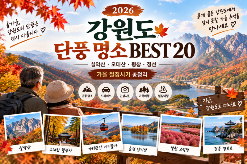 2026 강원도 단풍 명소 BEST 20설악산·오대산·평창·정선 가을 절정시기 총정리