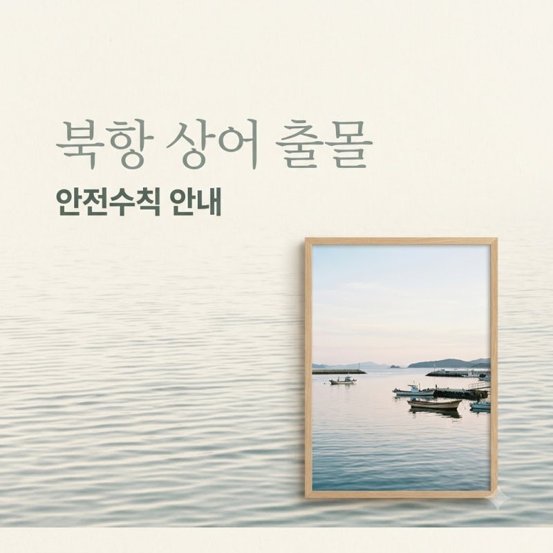 안전 경보 냈는데 오히려 구경하러 몰려갑니다 부산 북항 무태상어 출몰, 원인과 안전 수칙