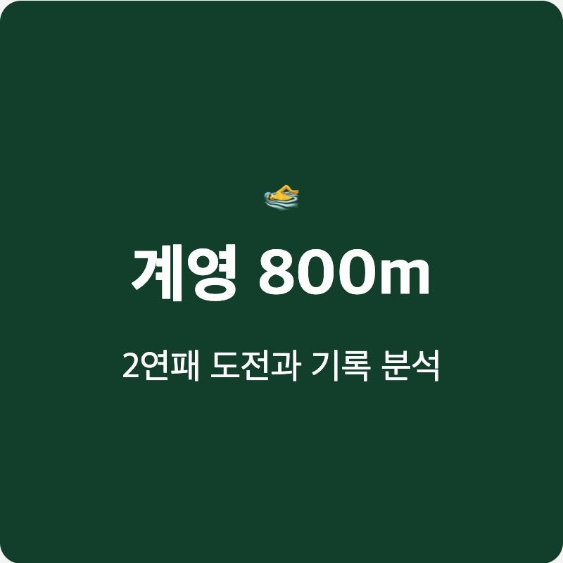 아시안게임 수영 계영 황선우 김우민 경기생중계 800m 도전 2연패