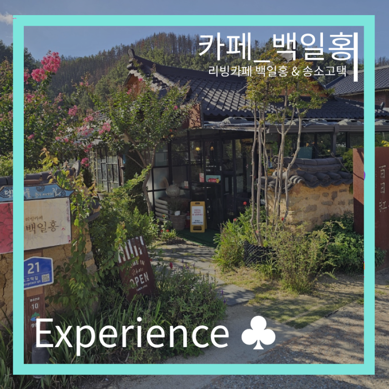 [카페] 청송 리빙카페 ! 백일홍 ☆