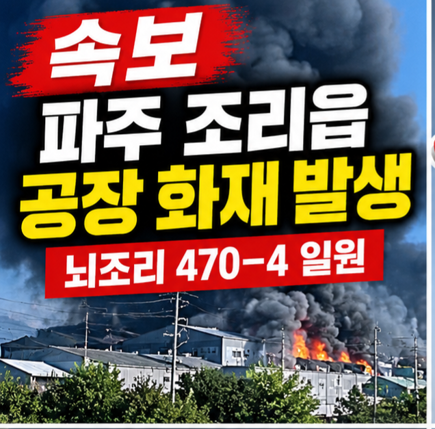 [속보] 파주 조리읍 뇌조리 공장 화재…“창문 닫고 차량 우회”