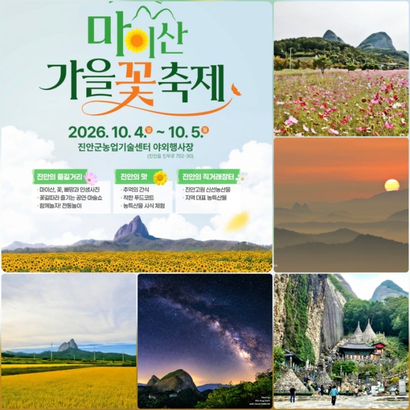2026년 진안고원 마이산 가을꽃 축제, 10월 4~5일 가을꽃 명소 마이산 여행 총정리