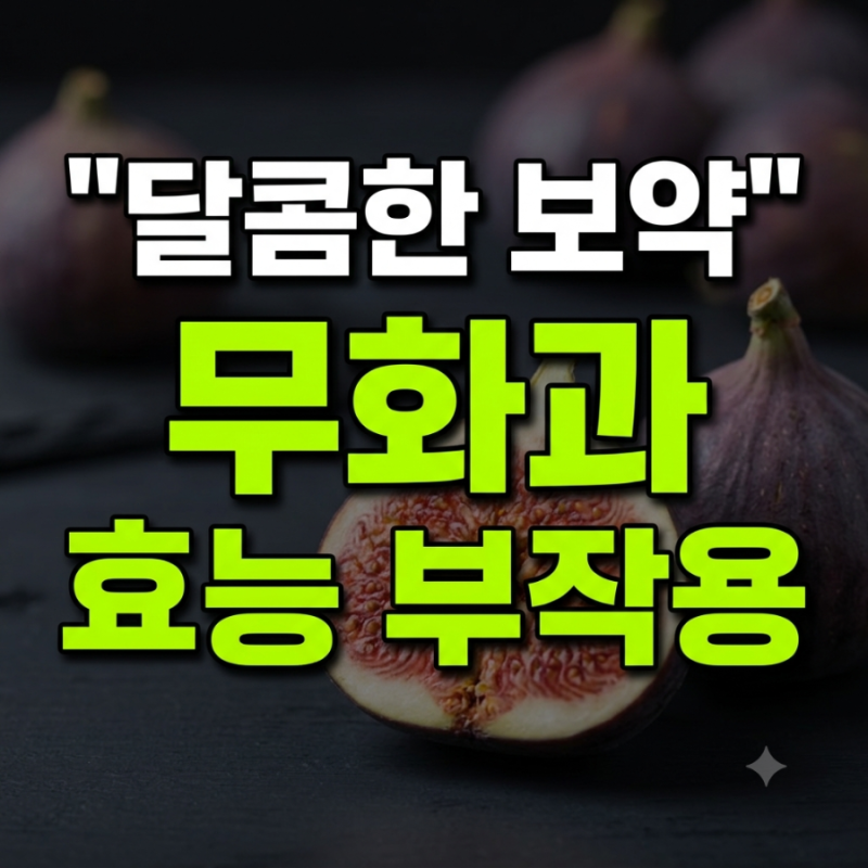 "몸에 좋다더니 입술이 왜 이래?" 가을 제철 무화과, 뒤늦게 알려진 부작용과 효능 하루 섭취....