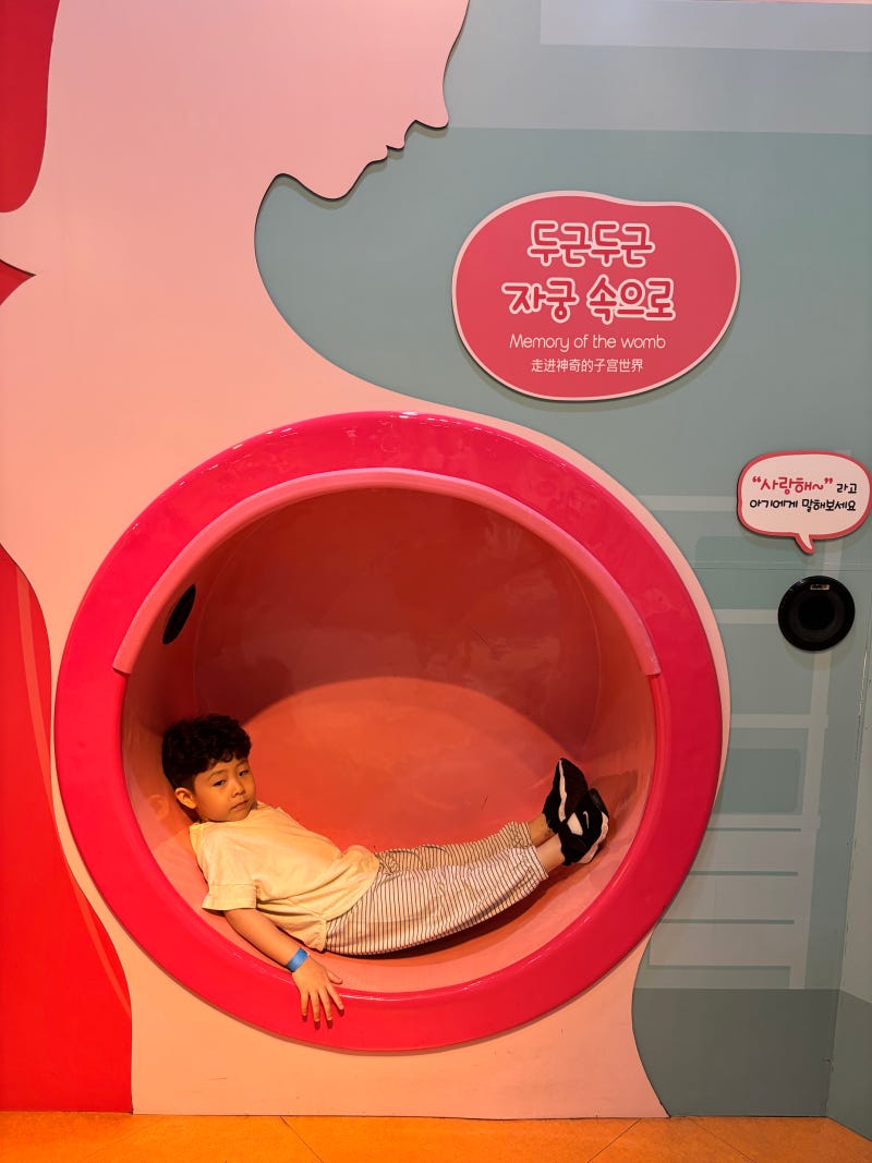인천어린이과학관 두돌전후엔 키즈카페였는데 5살되니 다르네