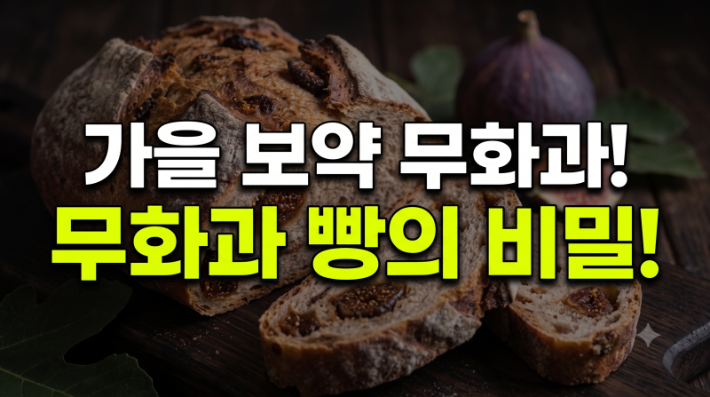 무화과 효능과 부작용 총정리 | 잘 맞는 음식 조합부터 하루 적정 섭취량까지