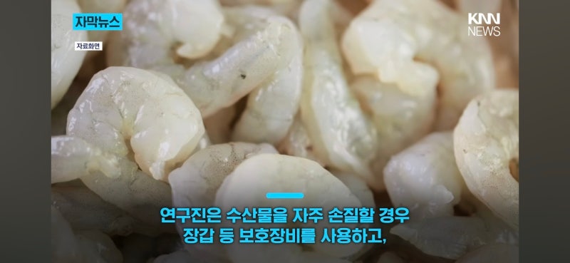 중국산 새우 먹으로 실명할수 있다는 사실일까????