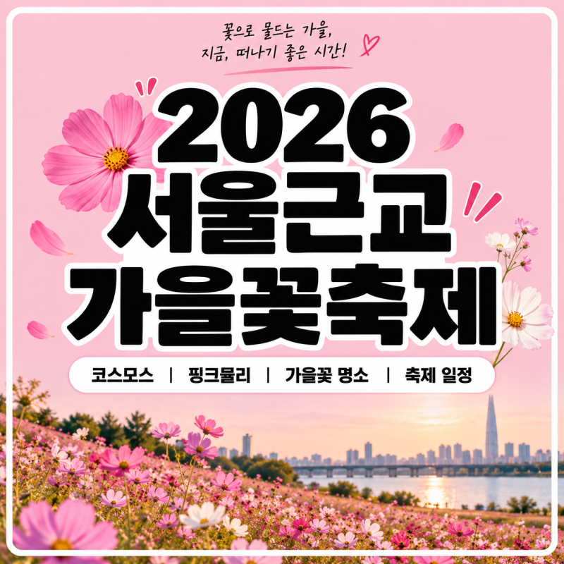 [2026 서울근교 가을꽃축제] 코스모스 가을꽃 가볼만한곳 추천