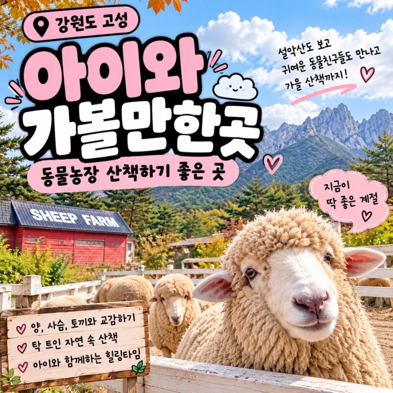 고성 아이와 가볼만한곳｜동물농장·가을 산책하기 좋은 켄싱턴 설악밸리