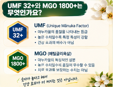 냉장고를 부탁해 손예진 편 현빈 꿀 종류·가격 총정리｜마누카꿀 효능까지