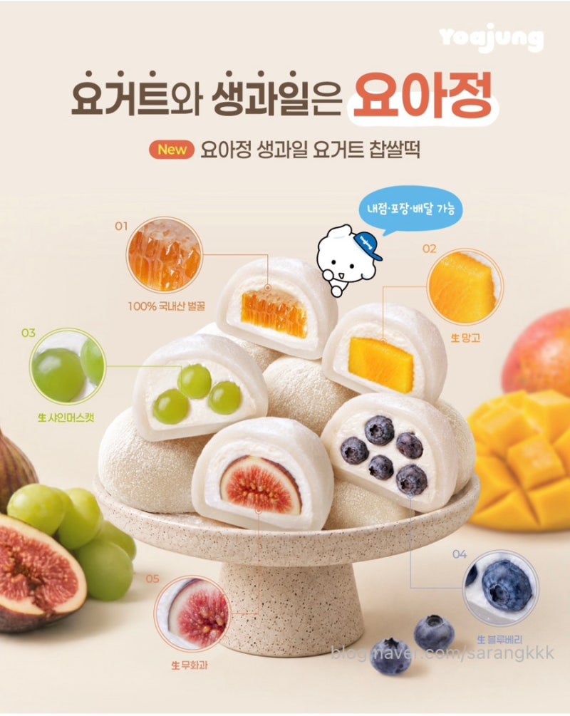 요아정 신메뉴 출시!생과일 요거트 찹쌀떡5종 가격부터 주문 꿀팁까지 알려드려요!