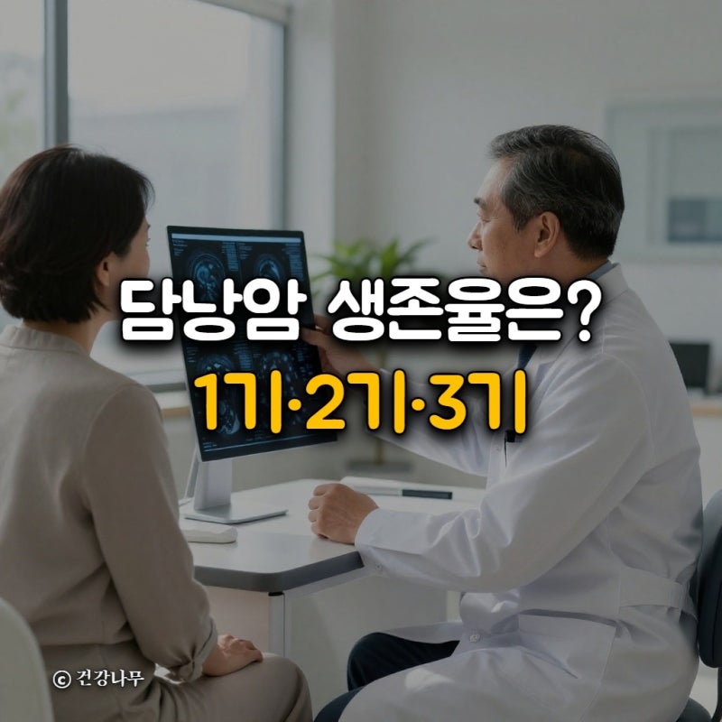 담낭암 생존율은? 1기·2기·3기·4기 비교 분석 핵심 가이드