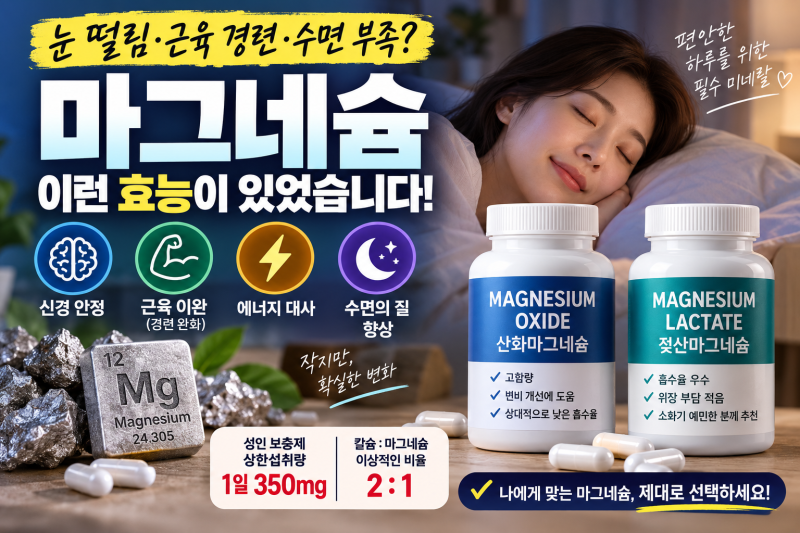 마그네슘 효능 4가지와 수면 영향, 산화 vs 젖산 선택 기준