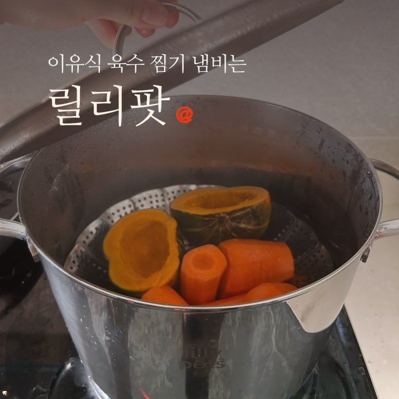 이유식 릴리팟 육수냄비 장단점 솔직후기