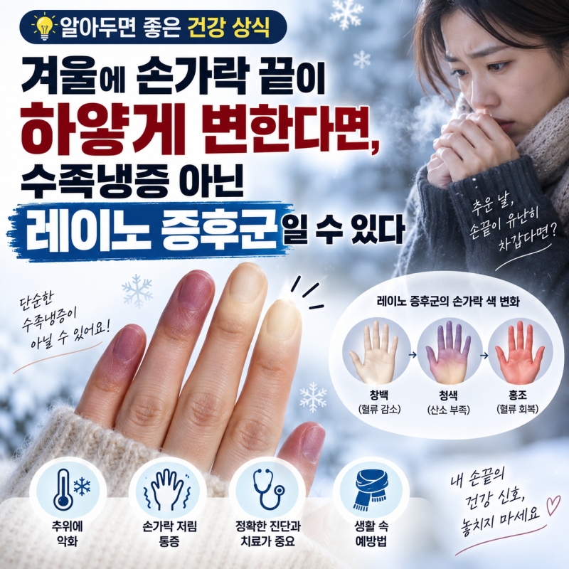 겨울에 손가락 끝이 하얗게 변한다면, 수족냉증 아닌 레이노 증후군일 수 있다. 레이노 증후....